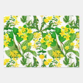 Aquarell-Gelbe-Wildblumen-und-Kräuter-Botanik Geschenkpapier Set