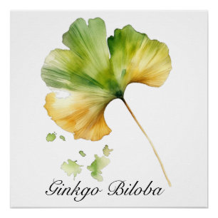 Aquarell-Ginkgo-Biloba-Blatt-Botanisches Wohlbefin Poster
