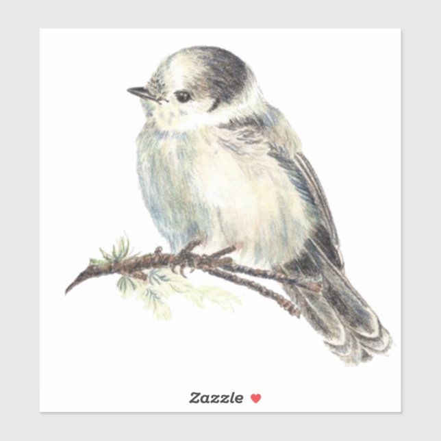 Aquarell Grau Jay Wilhelm Tell Aufkleber (Blatt)