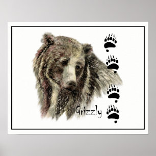 Aquarell-Grizzlybär-Tiernatur-Kunst Poster