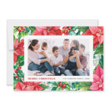 Aquarell Holand Poinsettia Foto Weihnachten