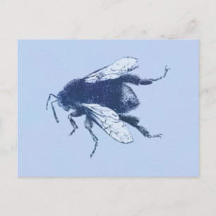 Aquarell Hummel Postkarte