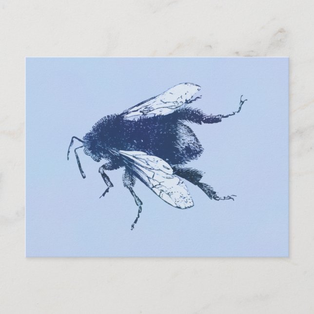 Aquarell Hummel Postkarte (Vorderseite)