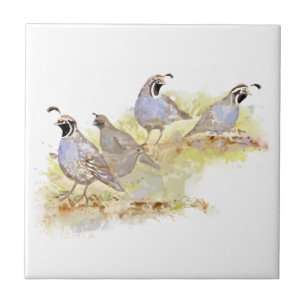 Aquarell-Kalifornien-Wachtel-Vogel-Familienkunst Fliese