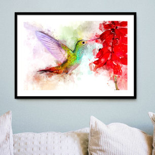 Aquarell Kolibri beim Fressen an roter Blume Fotodruck