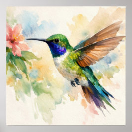 Aquarell Kolibri Poster