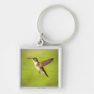 Aquarell-Kolibri Schlüsselanhänger