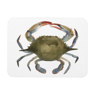 Aquarell-Krabbe - Grau Magnet