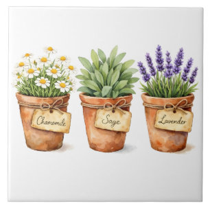 Aquarell-Kräuter, die in den Töpfen wachsen  Fliese