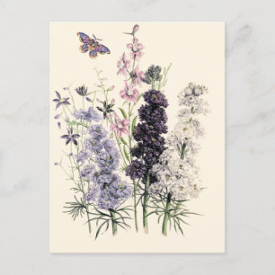 Aquarell lila, rosa Gartenblumen, Schmetterling Postkarte