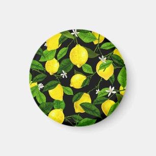 Aquarell-Limonen 2 Magnet