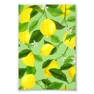 Aquarell-Limonen 3 Fotodruck