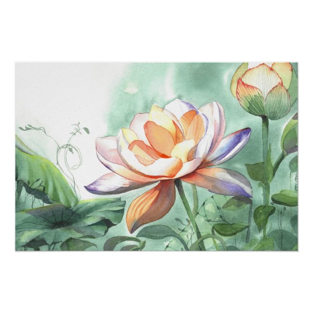 Aquarell-Lotus Poster (Vorderseite)