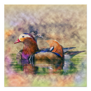 Aquarell-Mandarinen-Enten Feng Shui Symbol Poster