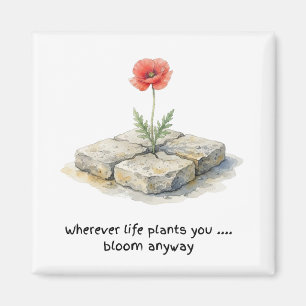 Aquarell-Mohn 'Wo immer das Leben dich hinpflanzt' Magnet