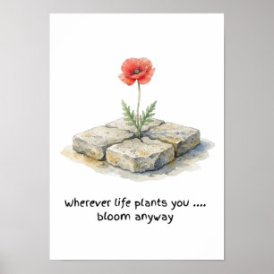 Aquarell-Mohn 'Wo immer das Leben dich hinpflanzt' Poster