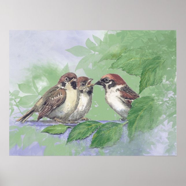 Aquarell-Mutter-Spatz füttert Küken Poster (Vorne)