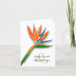 Aquarell Paradiesvogel Dankeskarte