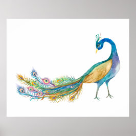 Aquarell-Pfau II Poster