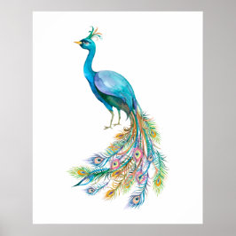 Aquarell Pfau III Poster