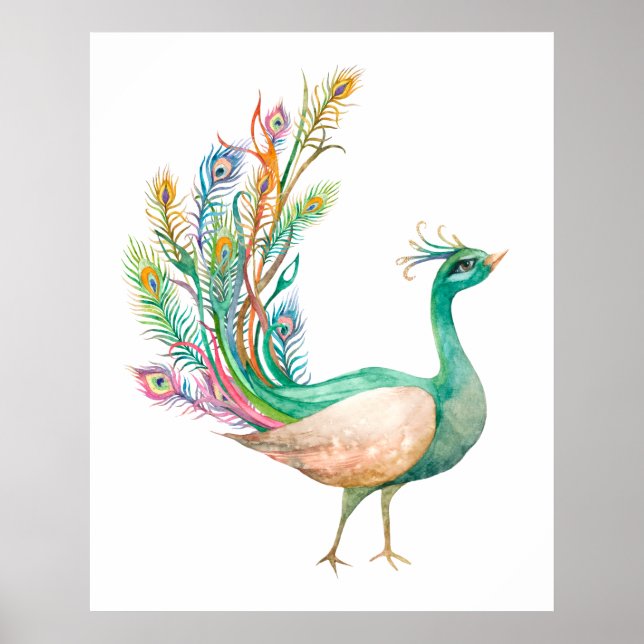 Aquarell-Pfau Poster (Vorne)