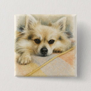 Aquarell-Porträt eines Pomeranian-Chihuahua-Hundes Button