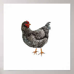 Aquarell Schwarz-weiß Huhn Vogelmalerei Poster