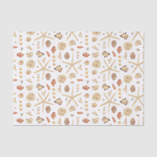 Aquarell Seashells Seidenpapier