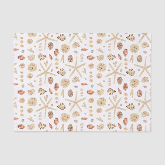 Aquarell Seashells Seidenpapier (Vorderseite)