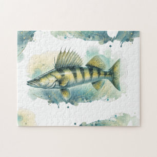 Aquarell-Serie: Zander / Amerikanischer Zander