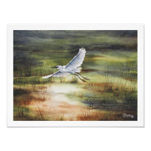 Aquarell Silberreiher  Fotodruck