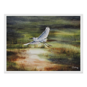 Aquarell Silberreiher  Poster