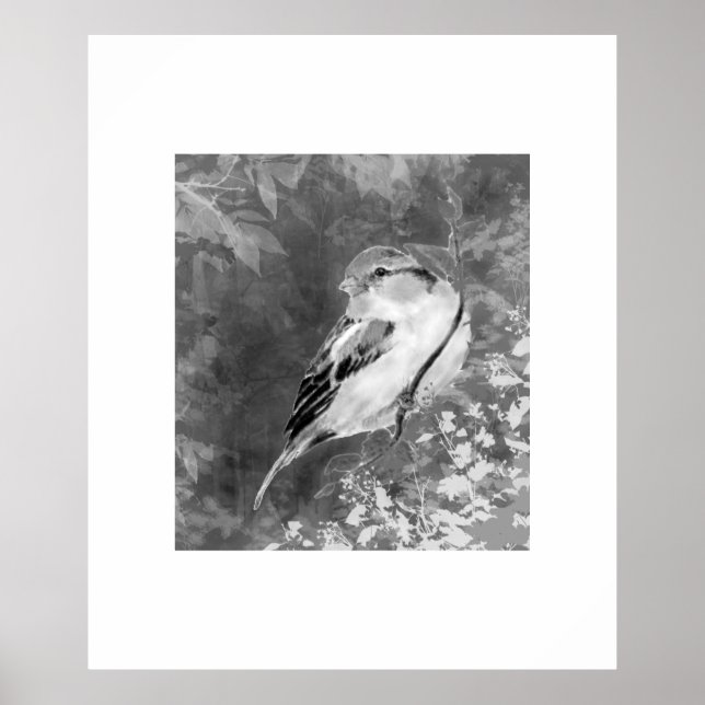 Aquarell-Sperling-Vogel im Wald Poster (Vorne)
