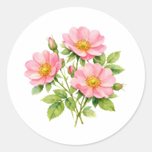 Aquarell-Wilde-Rosa-Pinkrosen  Runder Aufkleber