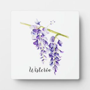 Aquarell Wisteria Botanik Fotoplatte