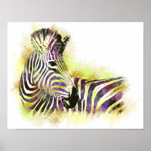 Aquarell Zeba Poster