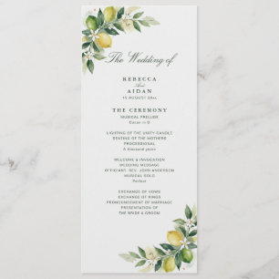 Aquarell-Zitrus-Grüne-Zitrone-Botanische-Hochzeit Programm