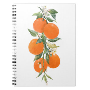 Aquarell-Zitrusfrüchte Orange Zitrone Notizblock