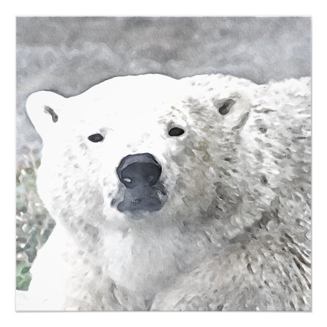 Aquarellbär Fotodruck (Vorne)