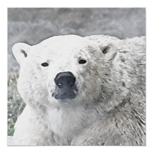 Aquarellbär Poster (Vorderseite)