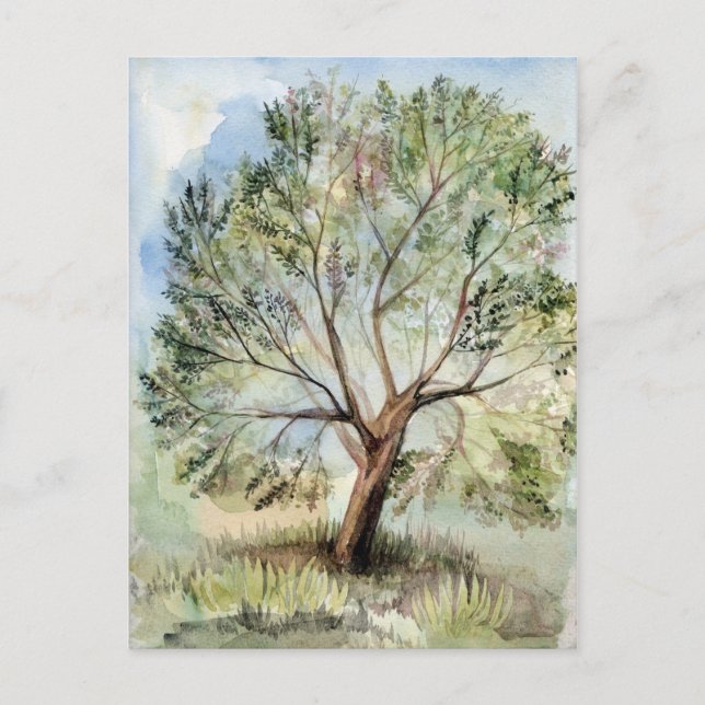 Aquarellbaum Postkarte (Vorderseite)