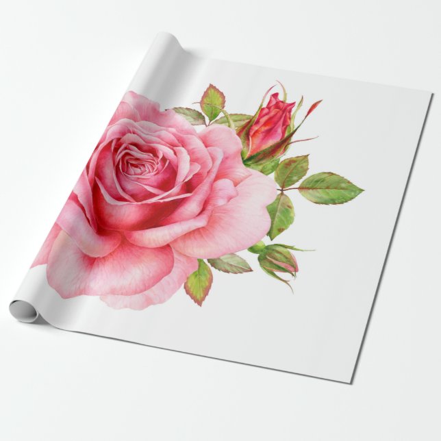Aquarellbild einer zarten rosa Rosa wi Geschenkpapier (Ungerollt)