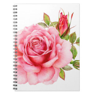 Aquarellbild einer zarten rosa Rosa wi Notizblock