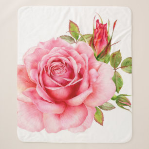 Aquarellbild einer zarten rosa Rosa wi Sherpadecke