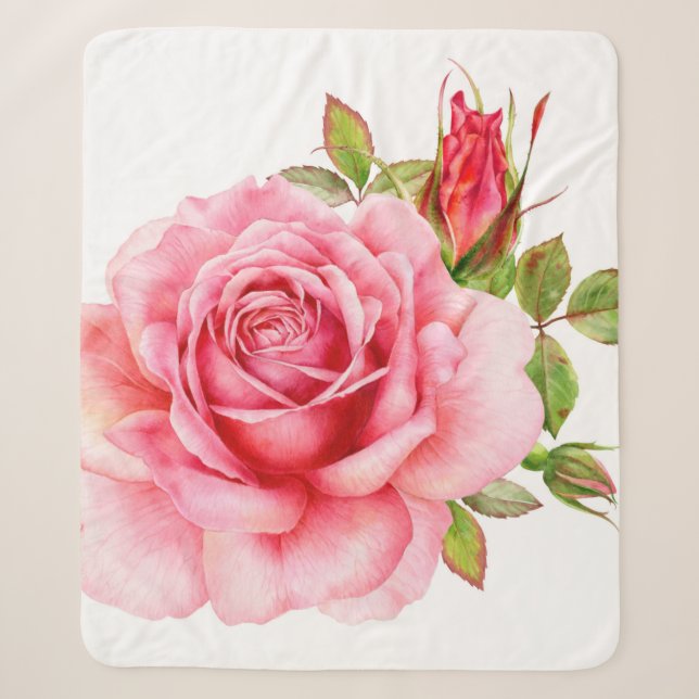 Aquarellbild einer zarten rosa Rosa wi Sherpadecke (Vorderseite)