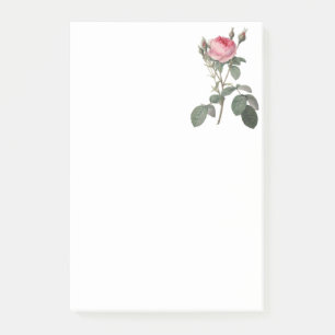 Aquarellbild von blassrosa alten Rosen Post-it Klebezettel