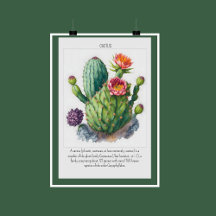 Aquarellblühende Kakteen Poster Wall Decke