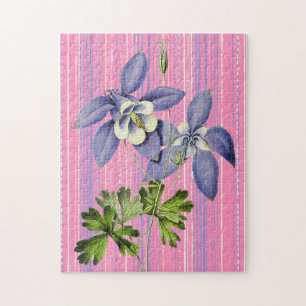 Aquarellblumen Rätsel Columbine