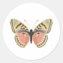 Aquarellbutterfly Rundkleber