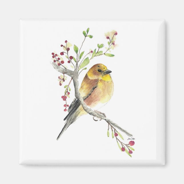 Aquarelle américaine Goldfinch Bird Magnet (Devant)